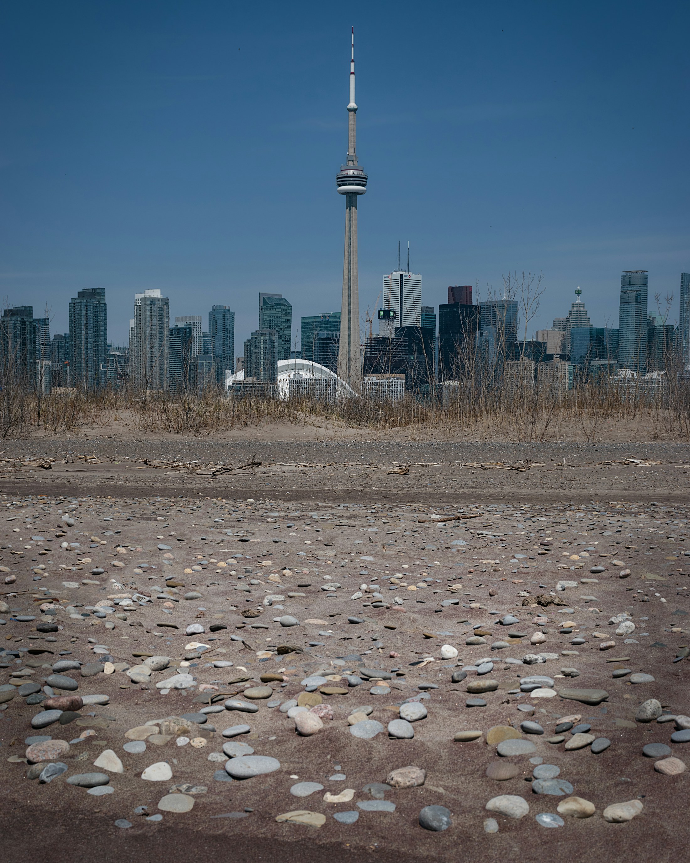 Toronto skyline and CN Tower from the islands